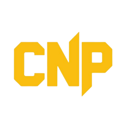 CNP Professional